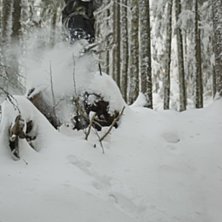 http://simonlindberg.blogg.se. Kuva: Simon Lindberg. Ratsastaja: Axel &Ouml;stlund.