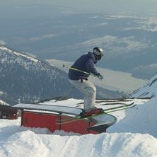 Kuva: Stefan JOhansson. Ratsastaja: Peter L&ouml;nn.
