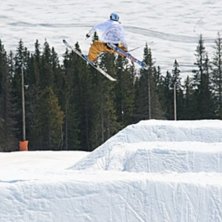steeze.. Kuva: Robin. Ratsastaja: Odlander.