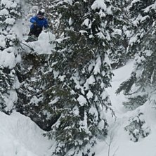 Droppar djupt inne i Duveds skogar. Kuva: Adrian Falk. Ratsastaja: Andreas Ojam&auml;e.