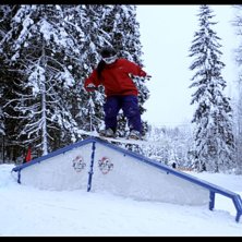 2008. Ratsastaja: Sandra Str&ouml;mberg.