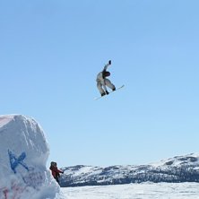 Kuva: Kristian Pettersson. Ratsastaja: Johan Sellin.