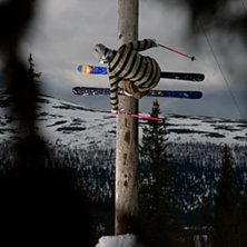 &Aring;ker p&aring; n&aring;n stolpe i skogen 1 maj.. Kuva: Johan st&aring;lberg. Ratsastaja: Niclas karlsson.