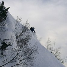 Kuva: Magnus Forssell. Ratsastaja: Erik Widmark.