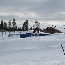 Kuva: Carina Landstr&ouml;m. Ratsastaja: Oscar Landstr&ouml;m.
