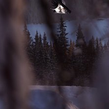 Sk&ouml;n dag i parken med pappa Jesper Molin och jag!. Kuva: Johan St&aring;hlberg. Ratsastaja: Vet ni vem?.