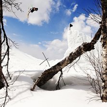 Kuva: Andreas Timf&auml;lt. Ratsastaja: Henrik Harlaut.