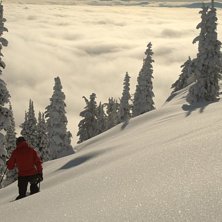 St&aring;r p&aring; toppen av ett &aring;k. Sn&ouml;n &auml;r totalt bott. Kuva: Andreas &Aring;kerblom. Ratsastaja: Jon Weihard.