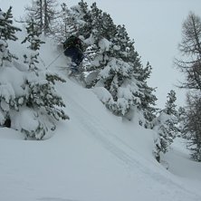 En fin dag i dr&ouml;mskogen. Kuva: Lyngen Mattias. Ratsastaja: Magnus Kron.