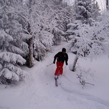 Ja &aring; brossan tog en tur ut i skogen i 3dm nyfalle. Kuva: Elias Carlsson. Ratsastaja: Jacob Carlsson.