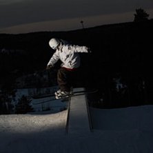 tailpress. Kuva: fluff. Ratsastaja: nikolai persson.