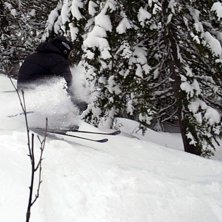 . Kuva: Andreas Ljunggren. Ratsastaja: Jonas Sj&ouml;din.