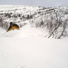Lennartsson sprutar sn&ouml;. Kuva: Fredrik Nordqvist. Ratsastaja: Petter Lennartsson.