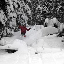 Sn&ouml;n bl&aring;ste ned i skogen.... Kuva: Anna H&uuml;binette. Ratsastaja: Magnus Eriksson.