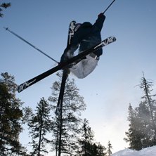 Mute i skogen. Kuva: alle. Ratsastaja: Axel arvidsson.