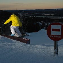 Kuva: Erik Larsson. Ratsastaja: Adam Persson.