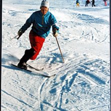 Telisar i &Aring;re 1989. Kuva: Bengt Bj&ouml;rkbom. Ratsastaja: Thomas Johansson.