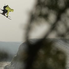 Kuva: james holm. Ratsastaja: jesper guldbrand.