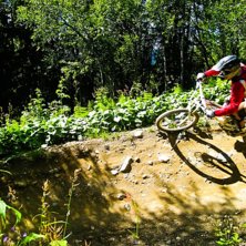 Shimano. Kuva: Rasmus Linder. Ratsastaja: Kristopher Sj&ouml;berg.