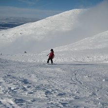 i &aring;re.. Kuva: Agnes Wiklund. Ratsastaja: Andrea.