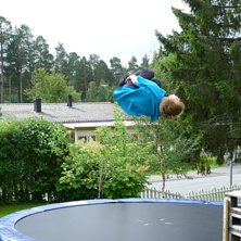 Kuva: karolin edfalk. Ratsastaja: rasmusedfalk.