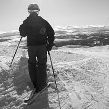 Kuva: Cecilia Asplund. Ratsastaja: Oscar Bergholm.