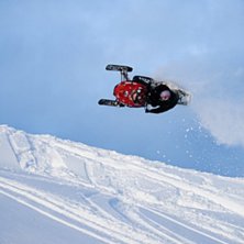 Whip!. Kuva: Johan Lindeberg. Ratsastaja: Jocke Lyxell.