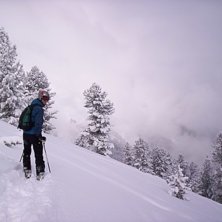 P&aring; v&auml;g mot lite sk&ouml;n skogs&aring;kning i nyfallen pu. Kuva: Anna-Lena Lindstr&ouml;m. Ratsastaja: Martin Peeker.
