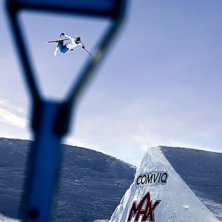 Joss 2010. Kuva: Niclas Magnusson. Ratsastaja: Oscar Sherlin.