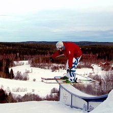 Kuva: Valter Olsson. Ratsastaja: Johan Lantz.