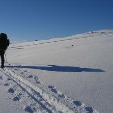 Kuva: Niklas Roos. Ratsastaja: Marie.