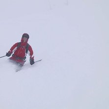 Bilden ger inga ledtr&aring;dar men det &auml;r Rendl och f. Kuva: John S&ouml;derberg. Ratsastaja: Filip Schrewelius.