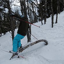 lite jibb i skogen. Kuva: emil gustavsson. Ratsastaja: anton hartell.