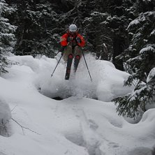 En mycket bra dag i skogen!. Kuva: Carl Lindberg. Ratsastaja: Emil Kullberg.