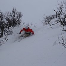 Kuva: Jerrie Kullberg. Ratsastaja: Emil Kullberg.