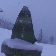 Nysnjo
Det er kome litt p&aring;fyll av villsnjo i natt.