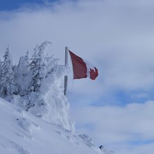 Oooh Canada!. Kuva: Emil Persson. Ratsastaja: Oooh Canada.