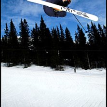 Sk&ouml;n dag i br&auml;cke med en nyshapad och sm&ouml;rig pi. Kuva: Johan Schedin. Ratsastaja: Fredrik Bondeson.