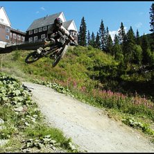 Jag l&auml;gger en table i &aring;re. Kuva: Kjell Holtenkrans. Ratsastaja: Jag (jocke).