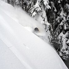 Ingen sn&ouml; i Sverige.
Ganska gott om det i Kanada. Kuva: Henrik Karlsson. Ratsastaja: Tobias Gustafsson.