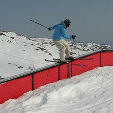 Rail. Kuva: Carolina Ohlsson. Ratsastaja: Viktor Bjurlid.