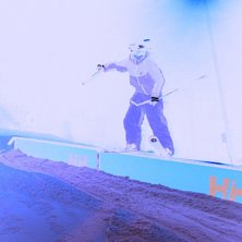 Rail. Kuva: Alexander Thyberg. Ratsastaja: Andreas Markusson.
