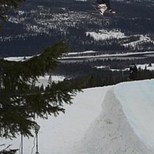 skit crappy v&auml;der... (som vanligt i &aring;re)haha
54. Kuva: Jesper Molin. Ratsastaja: Tom-Oliver Hedvall.