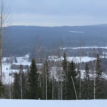 Kungsberget kuva