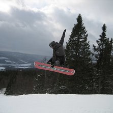 &Aring;terigen en nyb&ouml;rjar bild som artade sig ganska . Kuva: Per Bengtsson. Ratsastaja: Jesper Bengtsson.