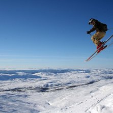 Kuva: Andreas Junggren. Ratsastaja: Micke Bratt.