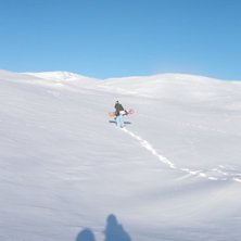 Kuva: erik. Ratsastaja: tess.