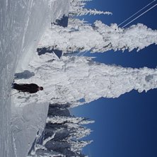 F&ouml;rsta soliga dagen p&aring; veckor. Kuva: Emil Persson. Ratsastaja: Karin &Aring;strand.