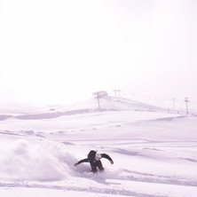 Kuva: Niklas Backlund. Ratsastaja: Mattias Fredrikson.