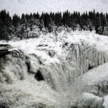 Kuva: Linn.